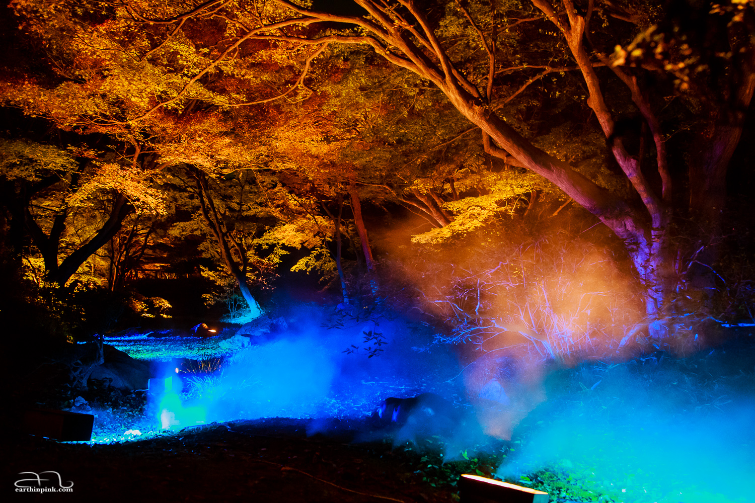 Night illumination in central Tokyo's Rikugien Koen can create pretty surreal looks, especially when colorful lights and artificial smoke are added to the picture.