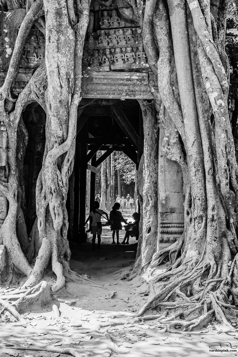 Roots of a giant tree blend together with the entrance gate to the Ta Som temple.