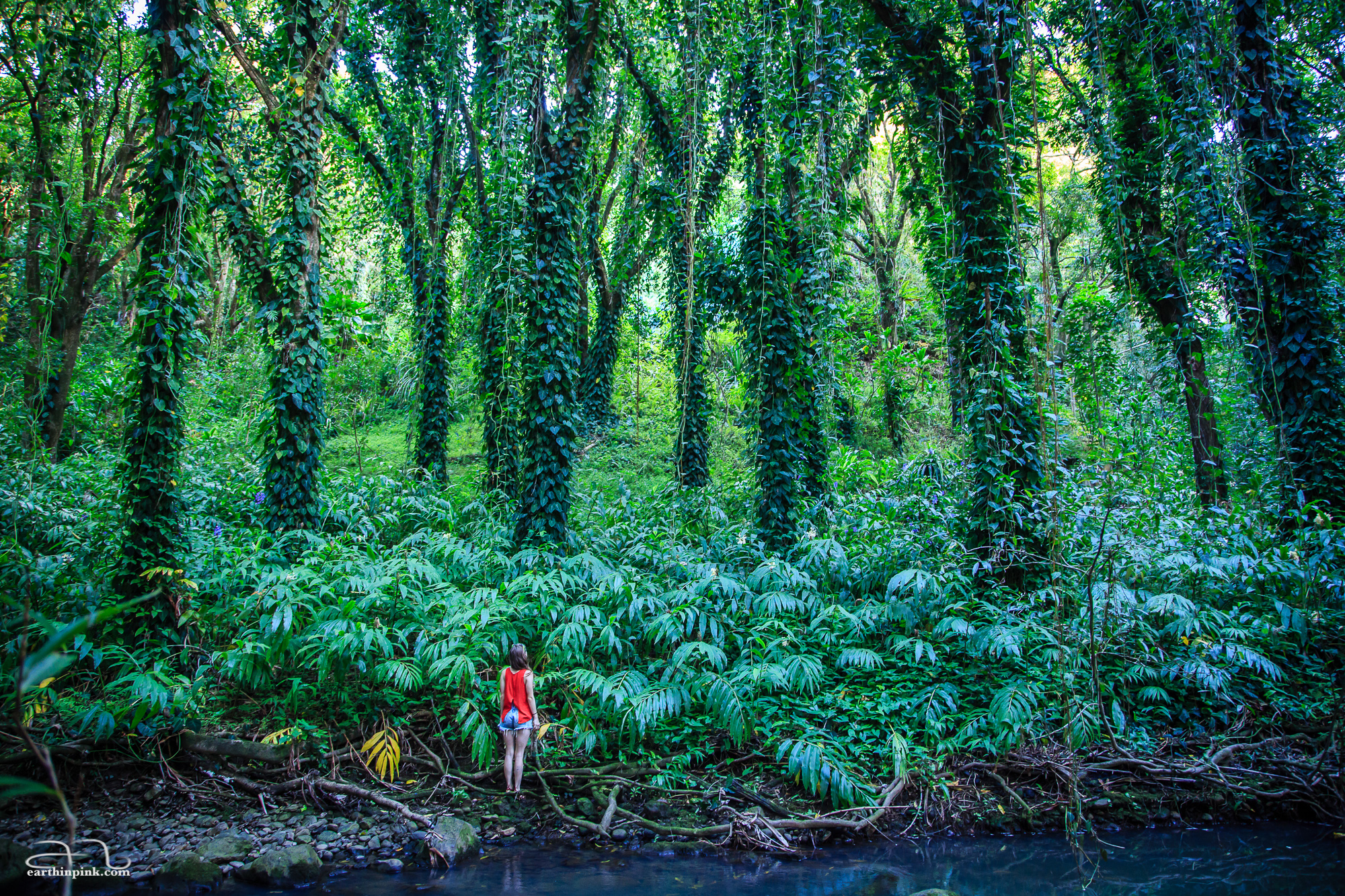 As we were photographing this lush tropical forest, Karim sent friend and talented model Caitlin Ahern across the little stream to add a sense of scale (and a splash of contrasting color) to the composition.