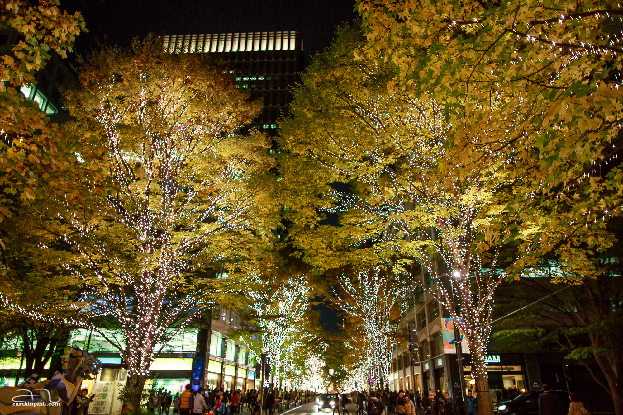 Marunouchi Illumination close to Tokyo station. This was taken in the third week of November and the trees hadn't yet lost their leaves, but in Tokyo it's never too early to get into the Christmas spirit!
