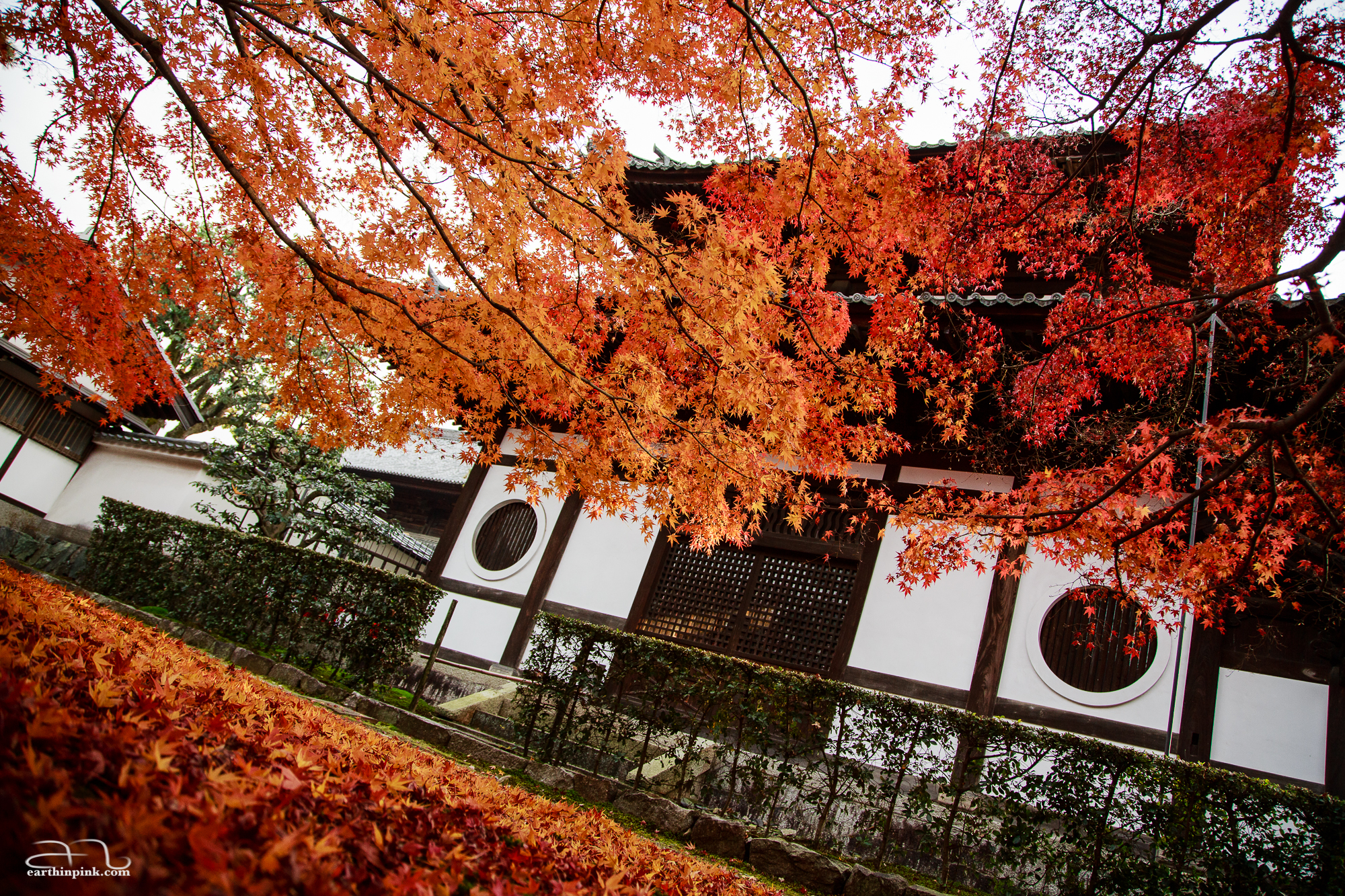 A small traditional building on the grounds of the Tofukuji temple, framed by autumn-coloured leaves.