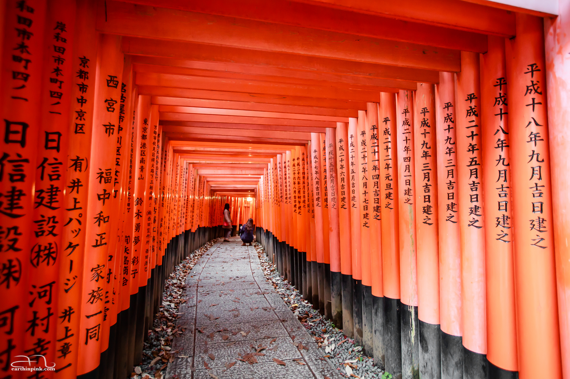 The Fushimi Inari Taisha, where paths up the mountain lead through thousands of torii gates. In autumn, the orange of the gates is complemented by the colour of the leaves fallen on the ground.
