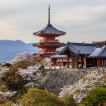 The pagoda near the entrance of Kiyomizu-dera, perched on a hill dappled with cherry trees in full bloom.