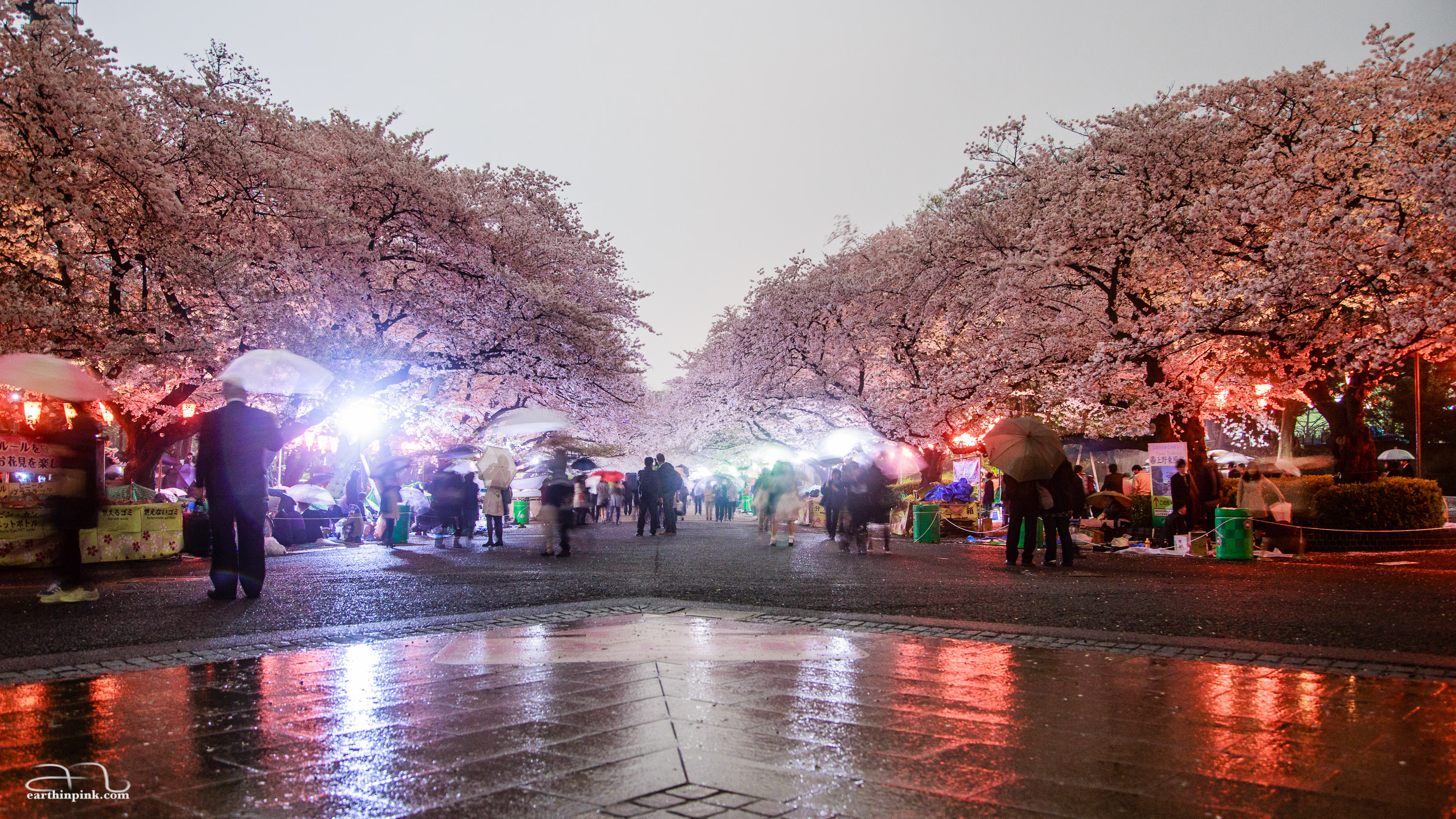 A rainy evening in Ueno park, just after sunset